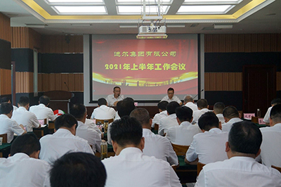 迪爾集團召開2021年上半年工作會議